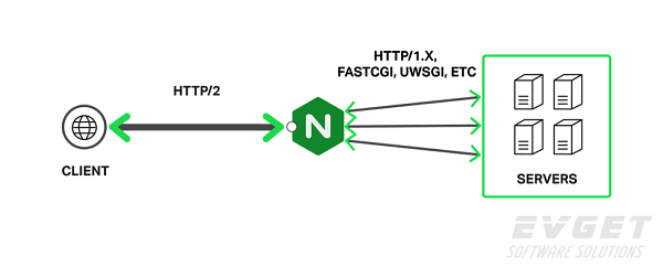 HTTP/2和TLS终端